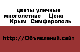 цветы уличные многолетние  › Цена ­ 150 - Крым, Симферополь  »    